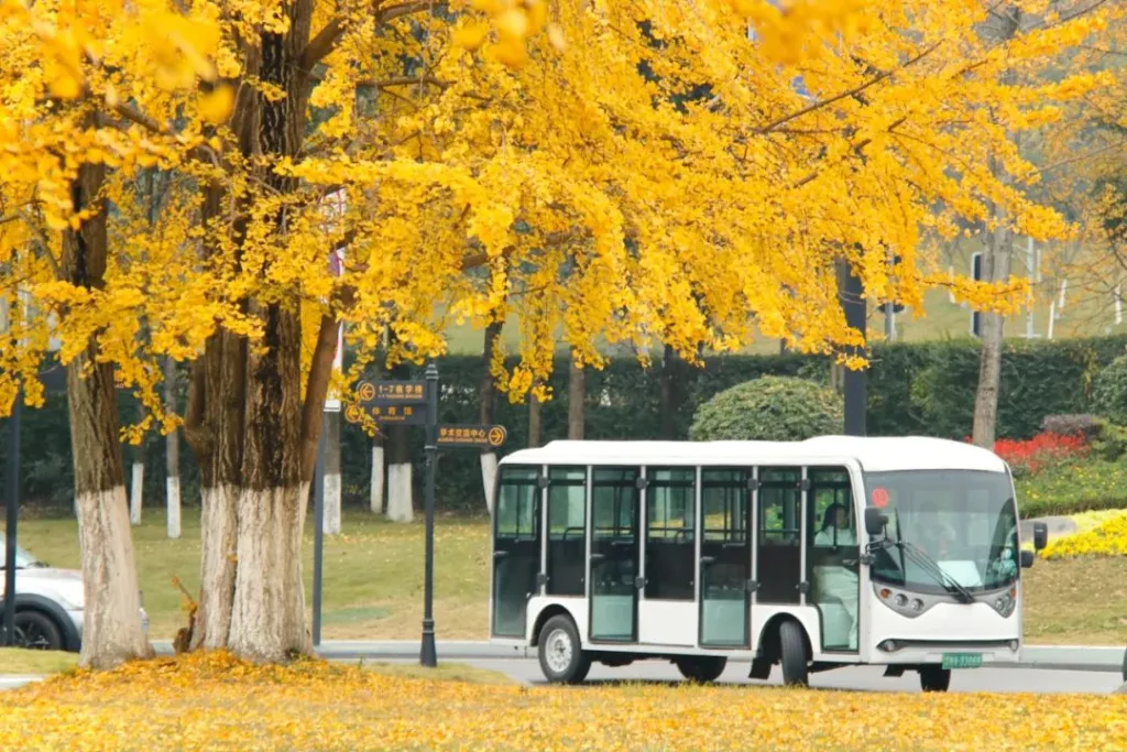 Chengdu University (CDU)
