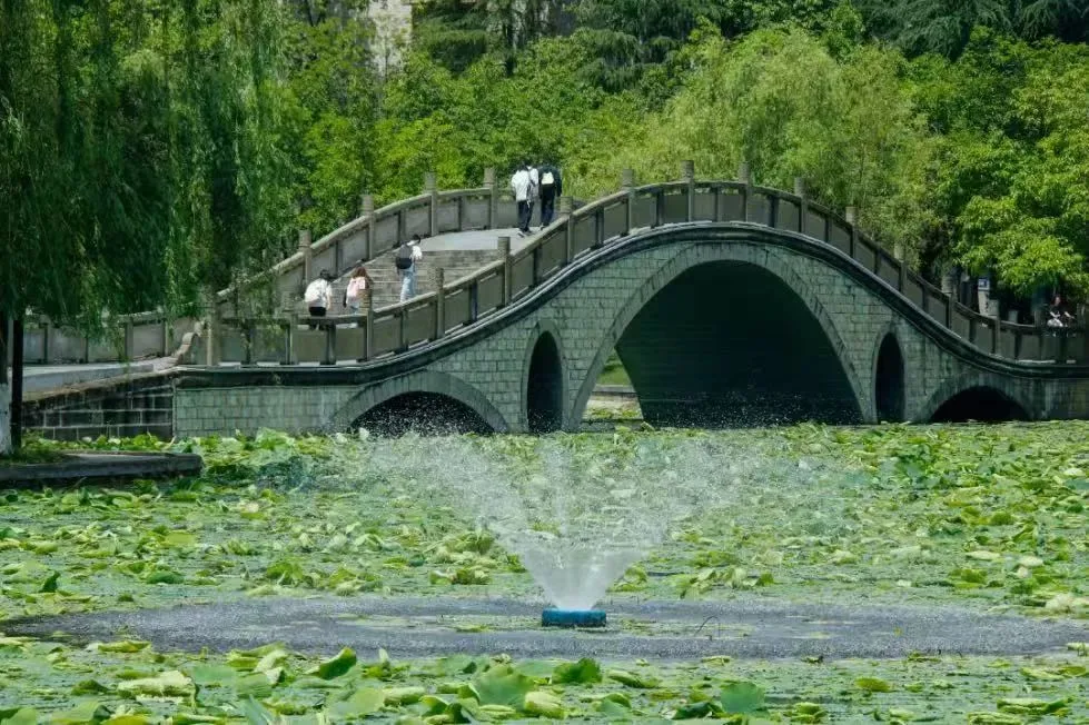Chengdu University (CDU)
