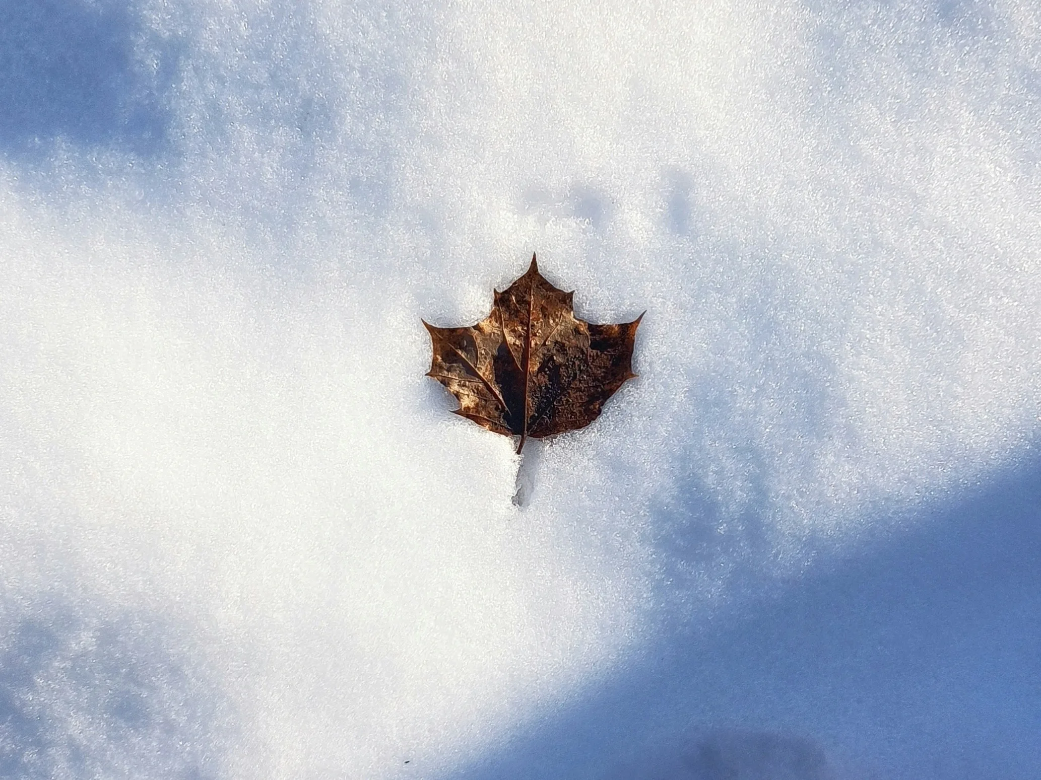 เรียนภาษาที่แคนาดา เมืองหนาวติดอันดับโลก
